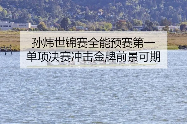 孙炜世锦赛全能预赛第一 单项决赛冲击金牌前景可期